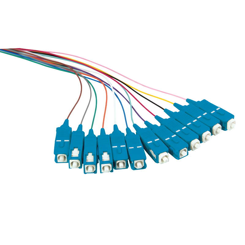 Colored pigtail set 12x SC, OS2, 2m, blue connector