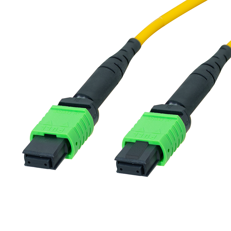 Patchcord MPO z 12 włóknami jednomodowymi OS2, MPO/APC żeńskie–żeńskie, typ B, 5 m