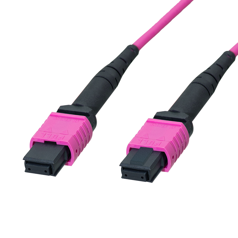 Patchcord MPO z 12 włóknami wielomodowymi OM4, MPO/PC żeńskie–żeńskie, typ B, 1 m