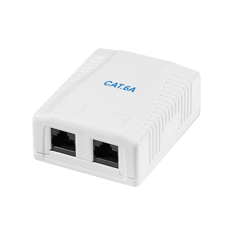 Cat.6A Surface Mounted Box 2 x RJ45, unshielded